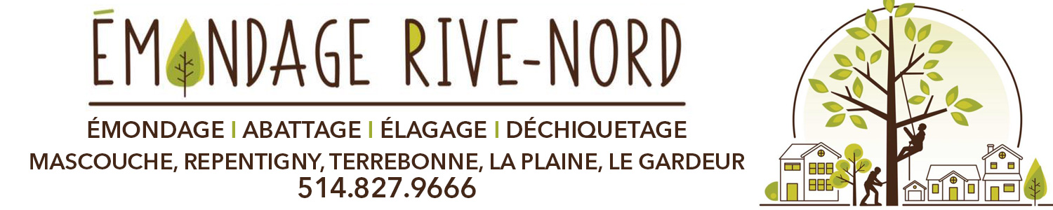 Abattage et Émondage Rive-Nord | Lanaudière