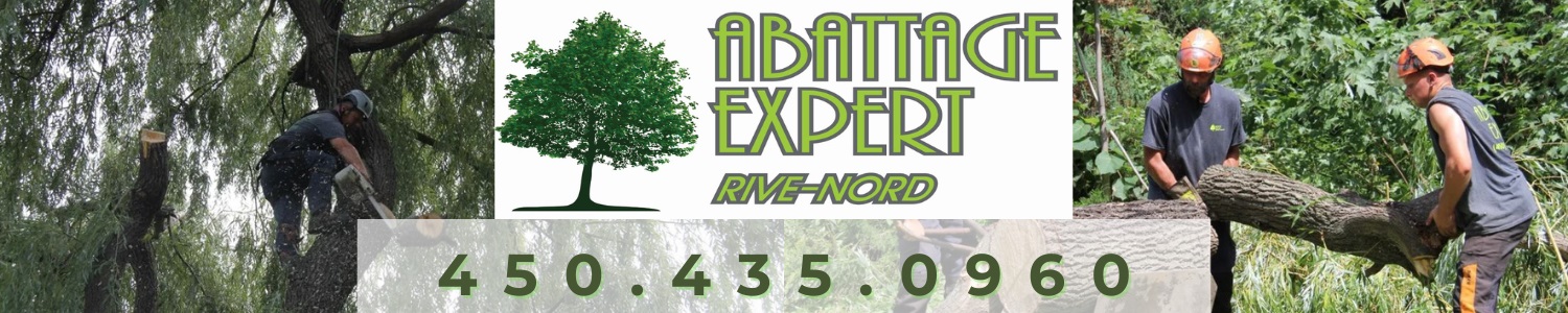 Abattage Expert Rive Nord - Élagage, Émondage, Services d'arbres.